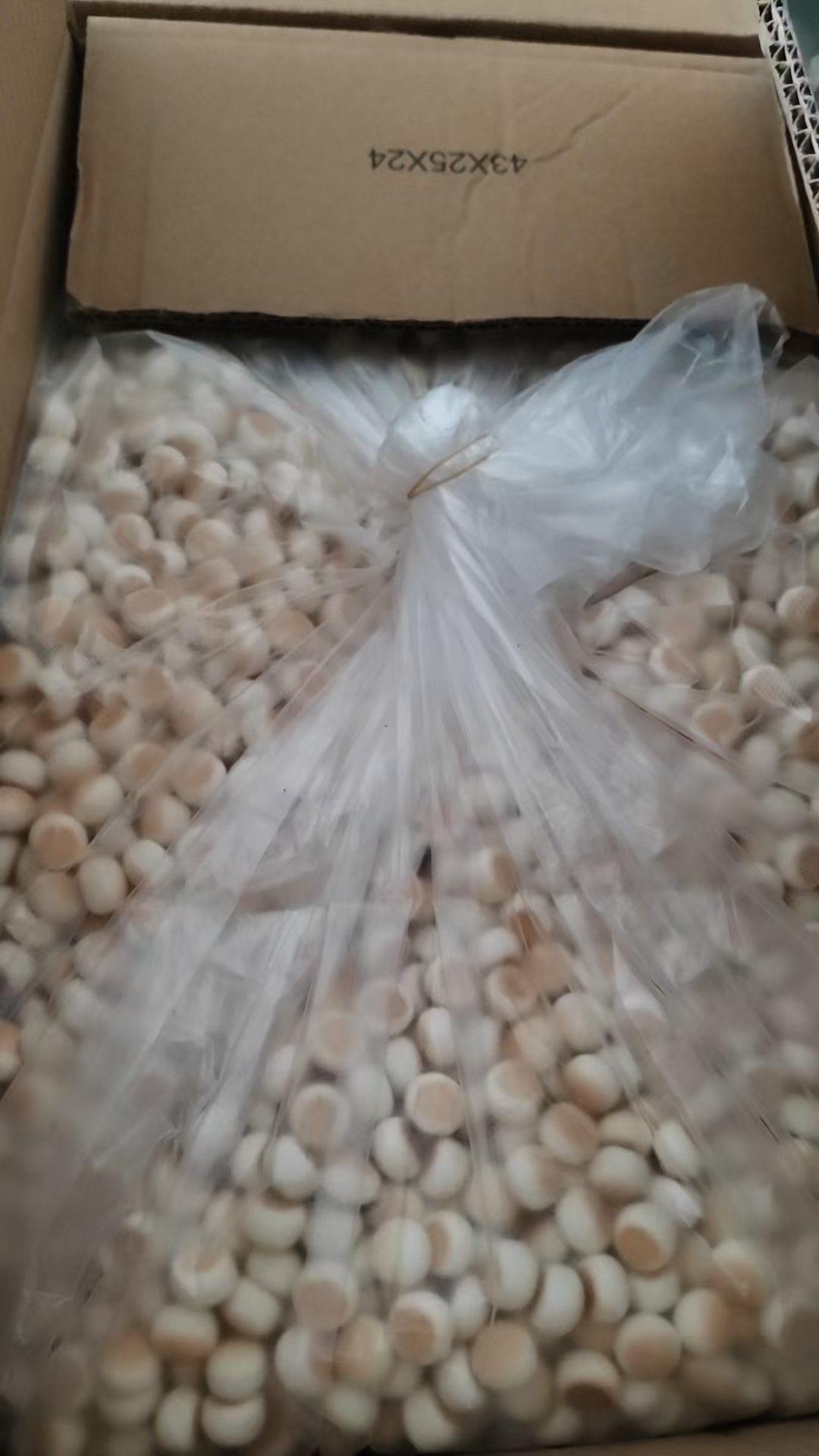 Snack products in a clear plastic liner inside an open cardboard carton