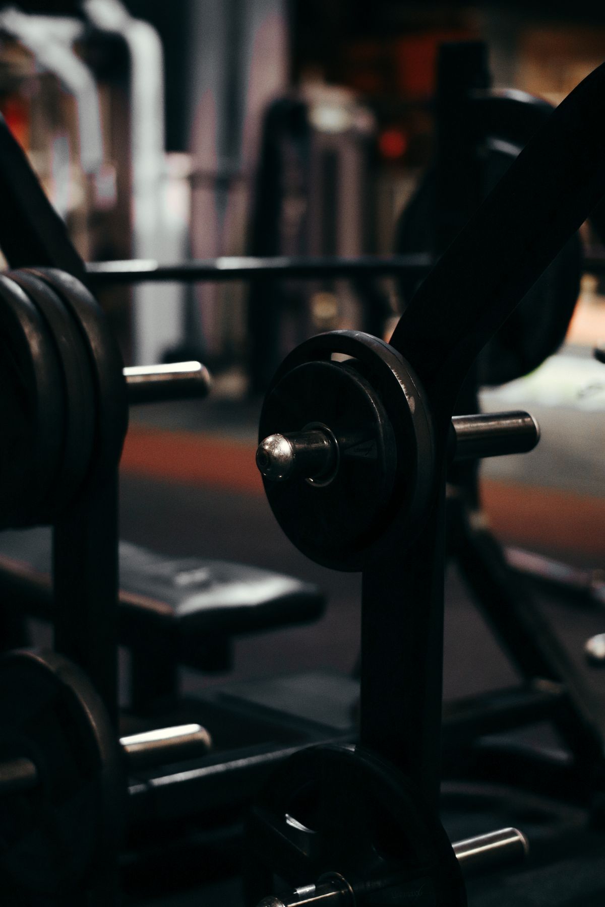 Fitness Equipment product examples