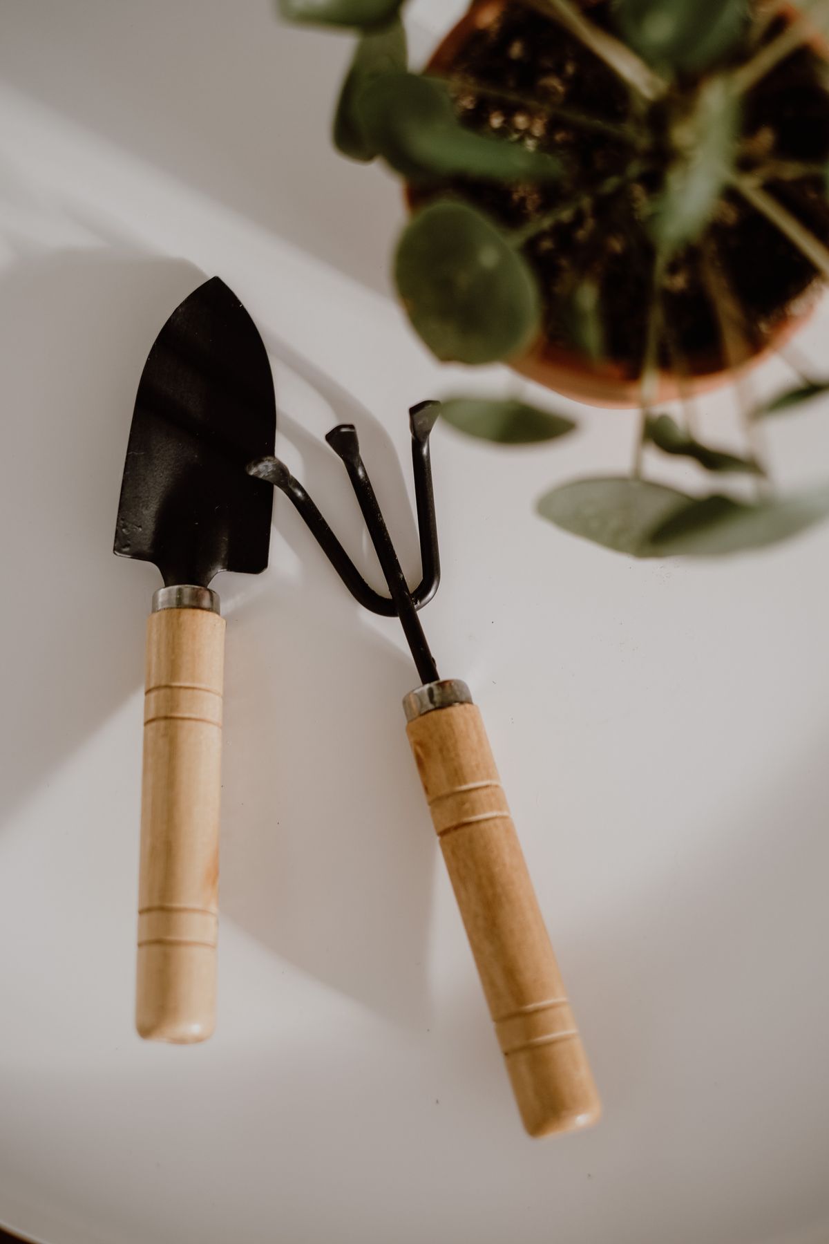 Gardening Tools product examples