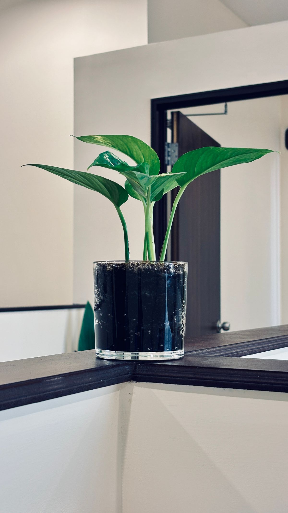 Decor product examples