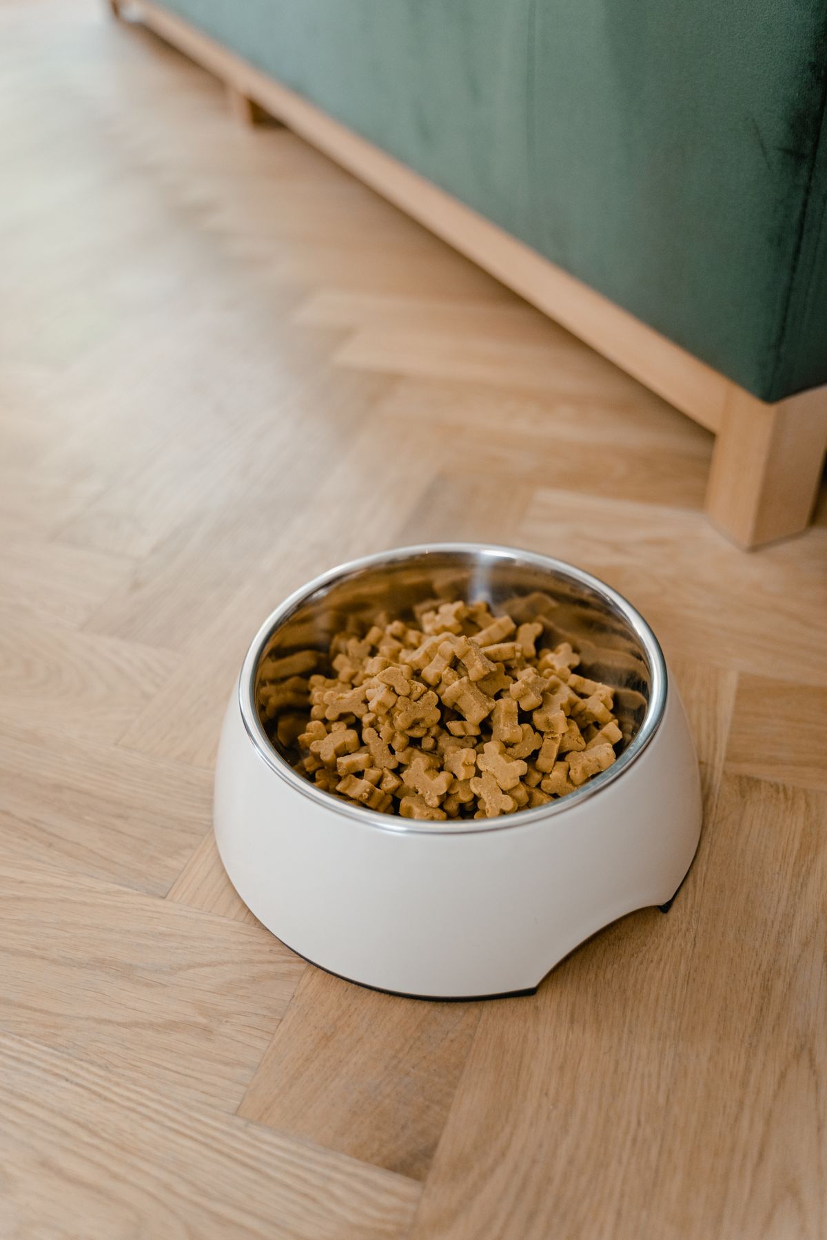 Pet Accessories product examples